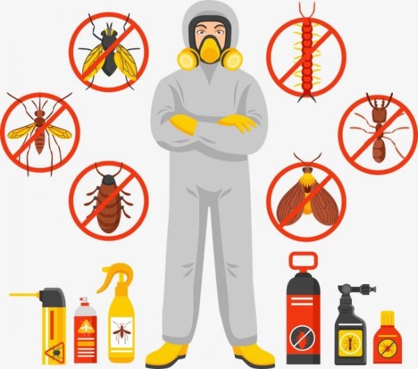 مكافحة حشرات رخيص بالقصيم